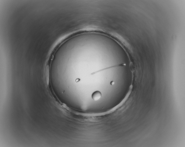 X0000111051175200907021613