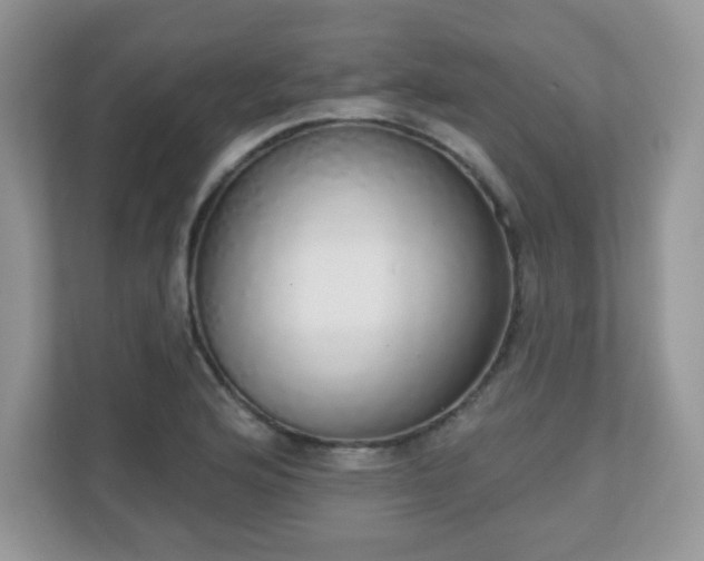 X0000111051176200907021613