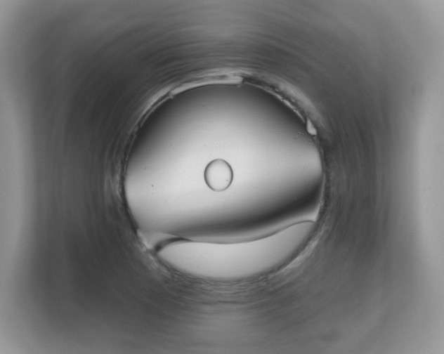 X0000111051177200907021613