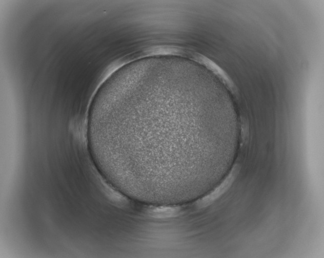 X0000111051178200907021613