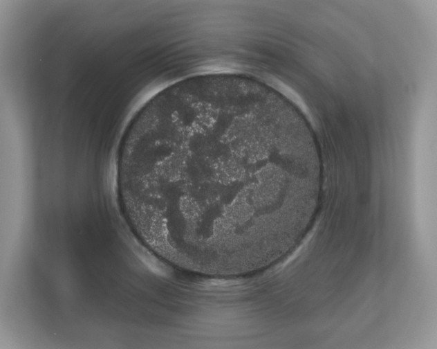 X0000111051179200907021613