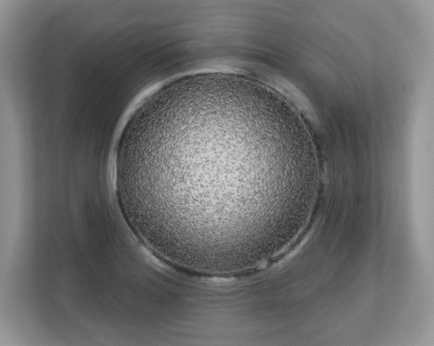 X0000111051180200907021613