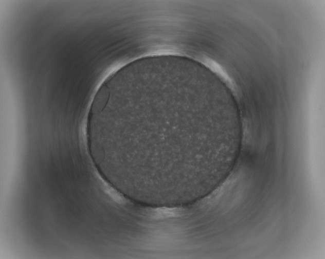 X0000111051181200907021613