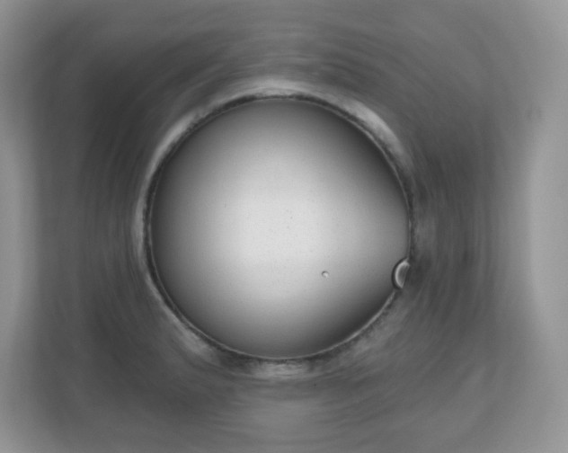 X0000111051183200907021613