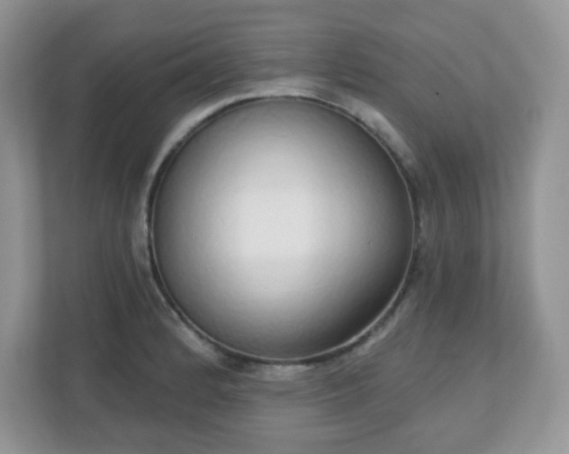 X0000111051184200907021613