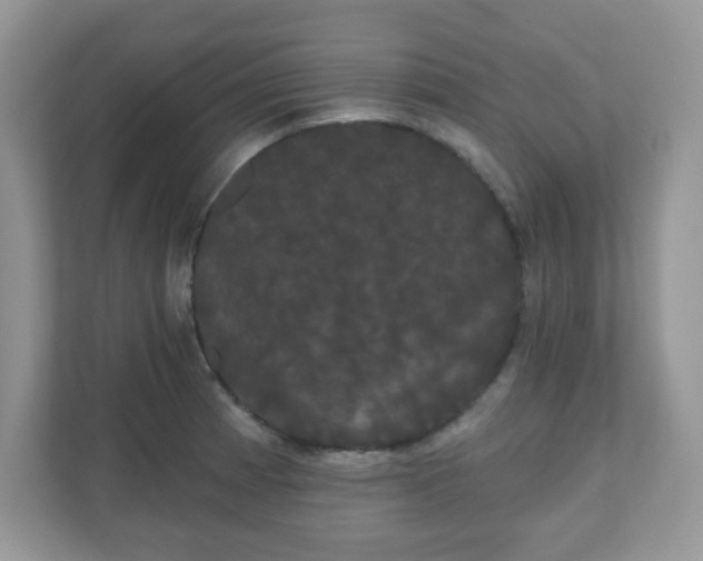 X0000111051185200907021613