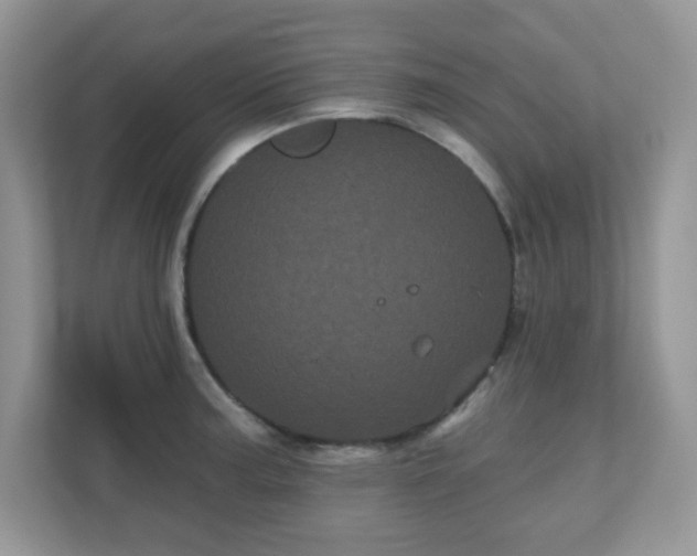 X0000111051187200907021613