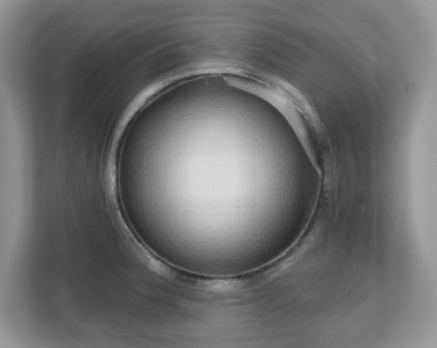 X0000111051188200907021613