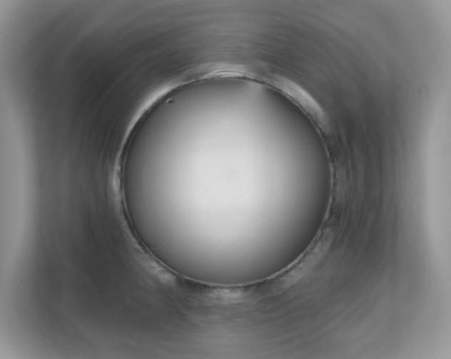 X0000111051190200907021613