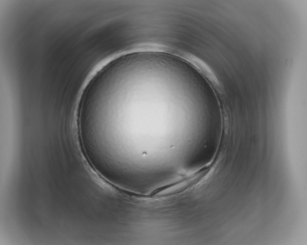 X0000111051192200907021613