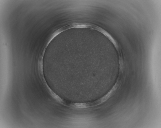 X0000111051194200907021613