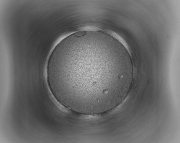 X0000111051195200907021613