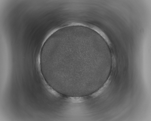 X0000111051198200907021613