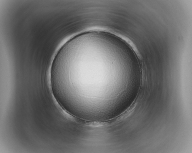 X0000111051199200907021613