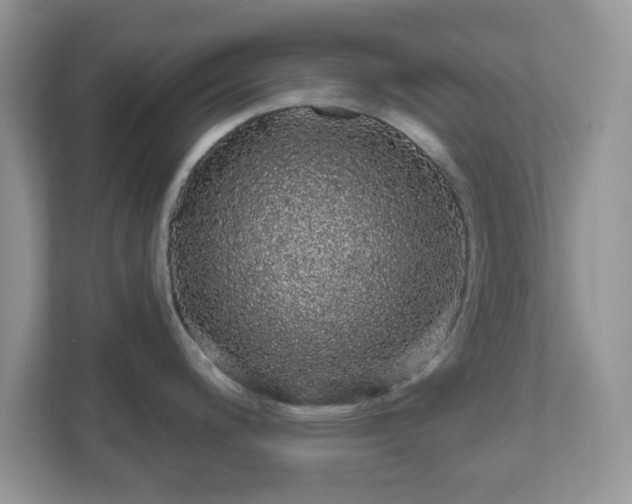 X0000111051200200907021613