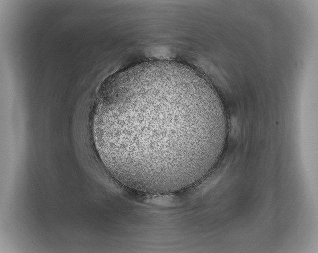 X0000111051201200907021612