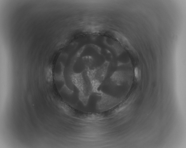 X0000111051203200907021612