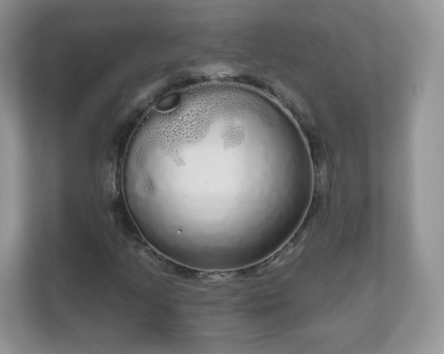 X0000111051205200907021612