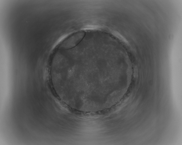 X0000111051208200907021612