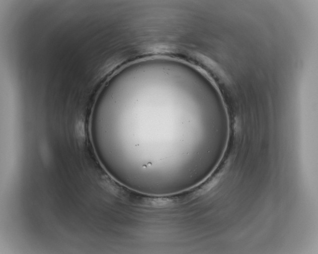 X0000111051209200907021612