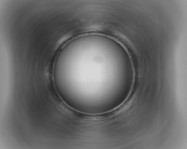 X0000111051210200907021612