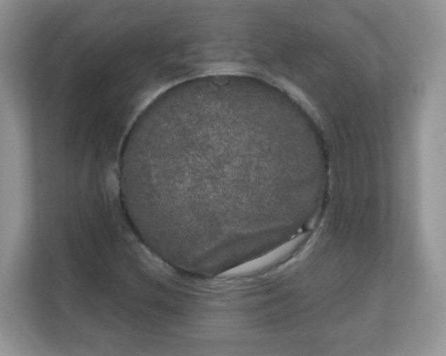 X0000111051212200907021612