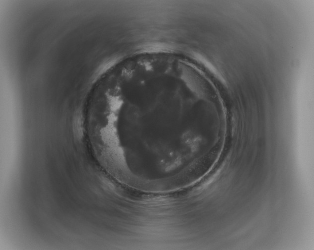 X0000111051213200907021612