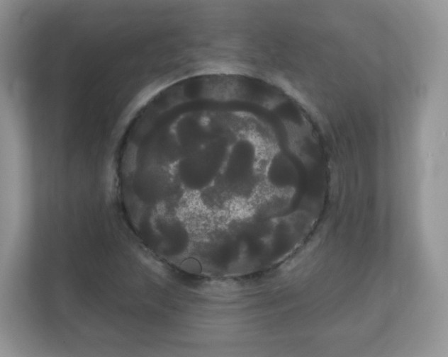 X0000111051215200907021612