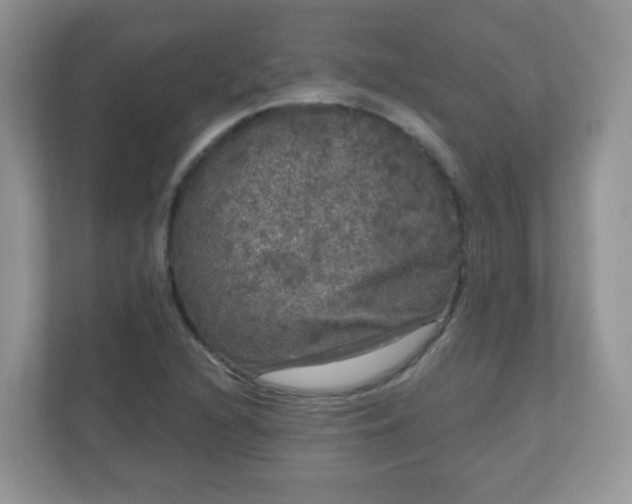 X0000111051216200907021612