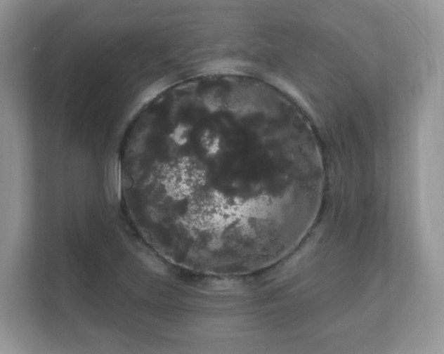 X0000111051219200907021613