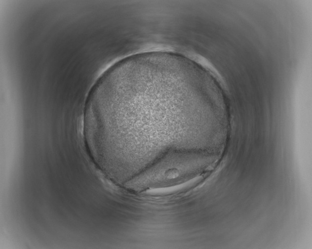 X0000111051220200907021613