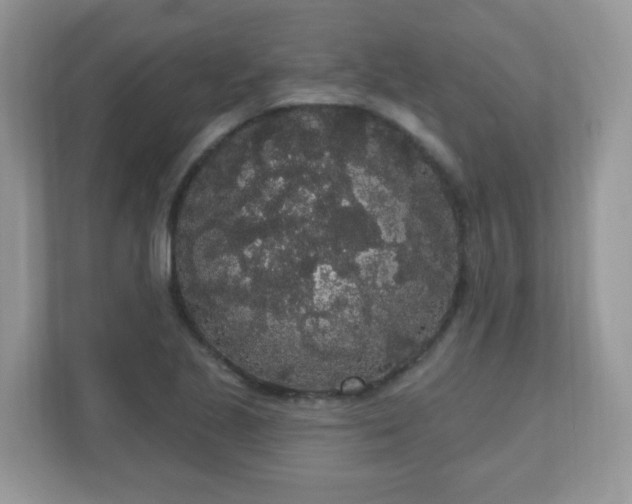 X0000111051221200907021613