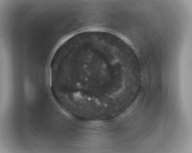 X0000111051223200907021613