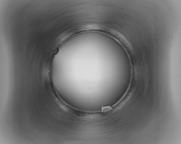 X0000111051225200907021613