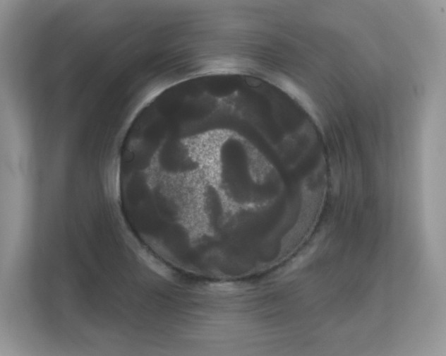 X0000111051227200907021613