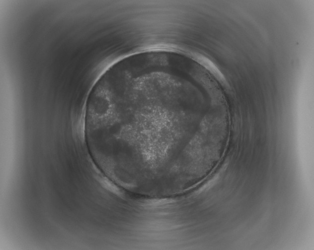 X0000111051228200907021613