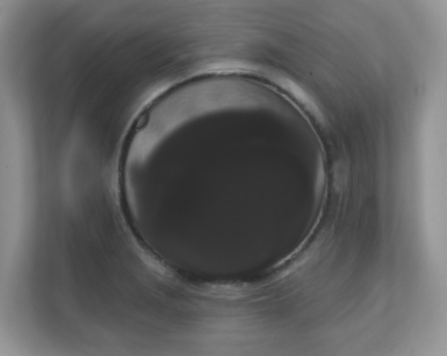 X0000111051229200907021613