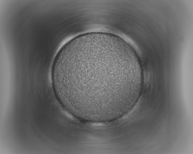 X0000111051230200907021613