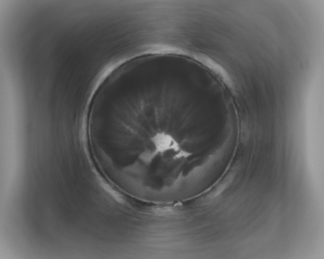 X0000111051231200907021613