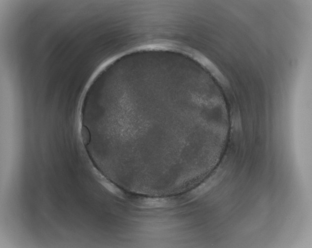 X0000111051232200907021613