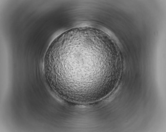 X0000111051234200907021613