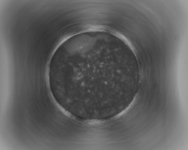 X0000111051235200907021613