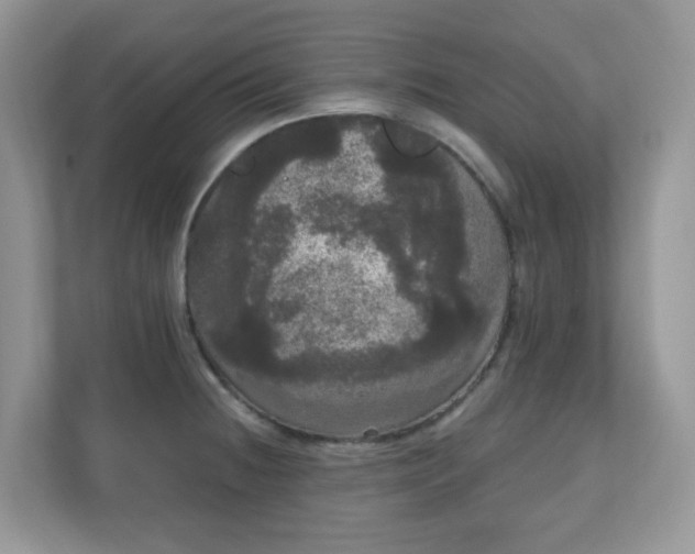 X0000111051236200907021613