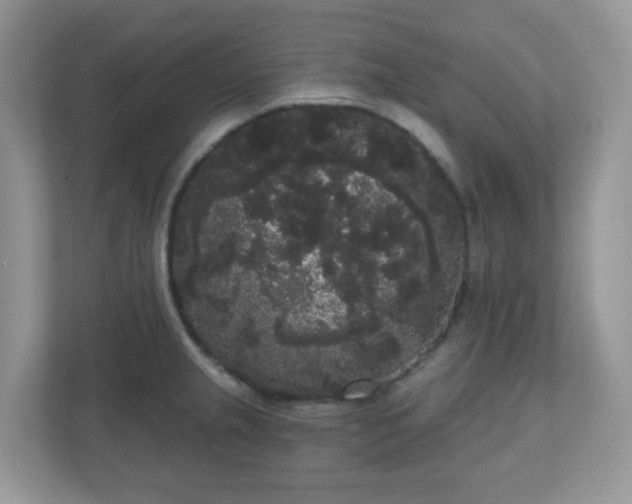 X0000111051237200907021613