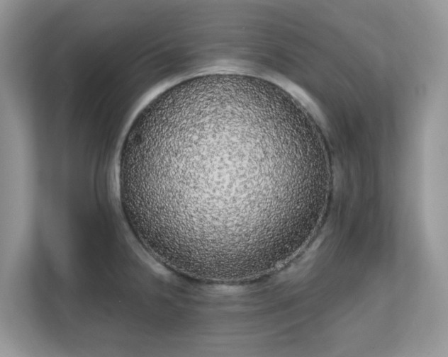 X0000111051238200907021613