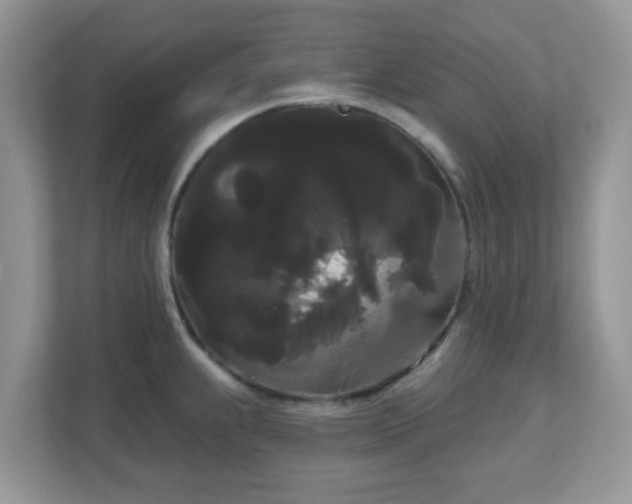 X0000111051239200907021613