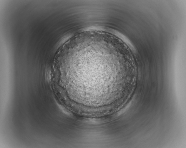 X0000111051241200907021613