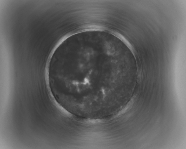 X0000111051243200907021613