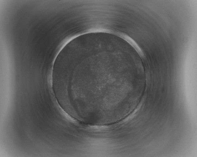 X0000111051244200907021613