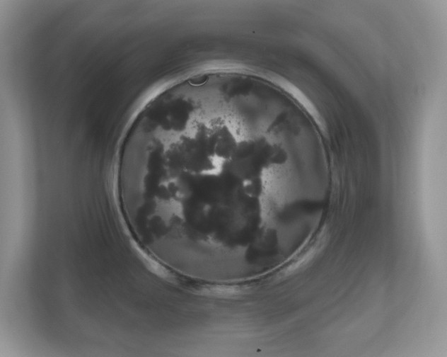 X0000111051245200907021613